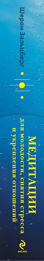 Книга Медитации для молодости, снятия стресса и укрепления отношений. Программа на 28 дней (Шэрон Зальцберг) — 3