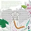 За леопардом в джунгли (квадратный формат, белая обложка) — 2501526 — 2