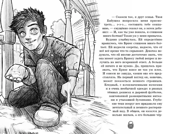 Книга Оживший сундук (Сильвана Дзанколо) — 8