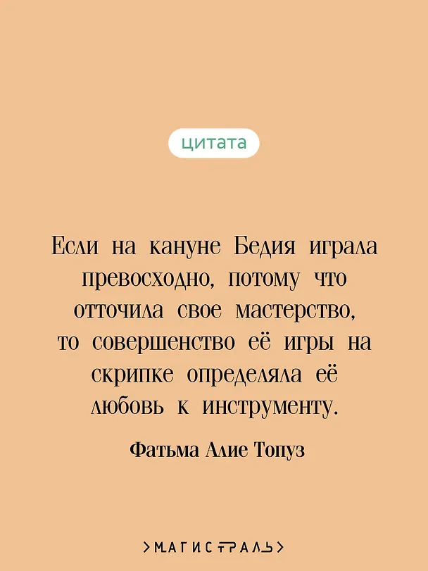 Книга Девушка с лютней (Фатьма Алие Топуз) — 7