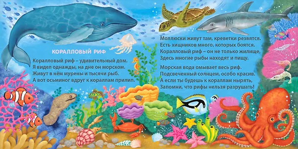 Книга Удивительные дома животных. Книжки-картонки (Евгений Сосновский) — 9