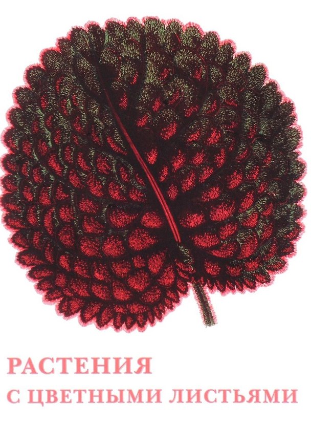 Книга Растения с цветными листьями () — 1