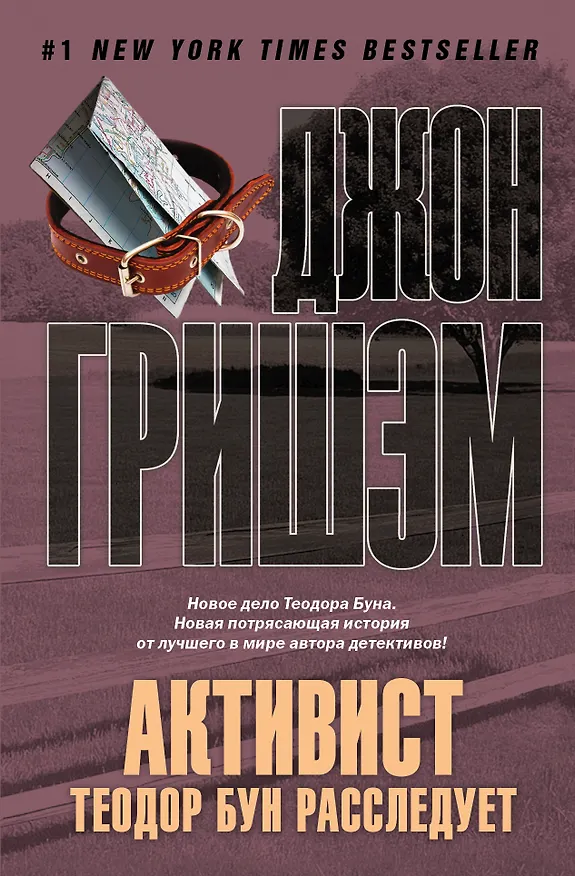 Книга Активист. Теодор Бун расследует : роман (Джон Гришэм) — 1