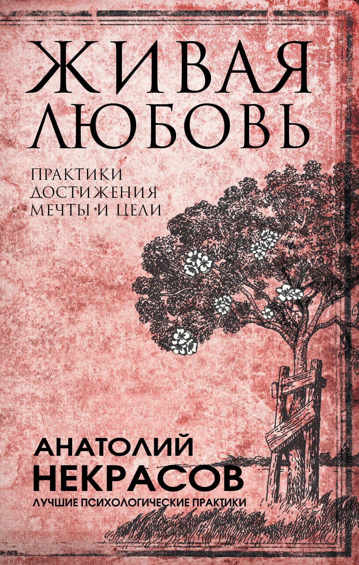 

Живая любовь: практики достижения мечты и цели