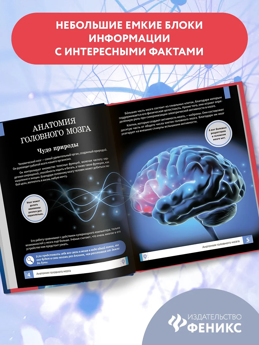 Мозг человека: самая умная энциклопедия (Алла Озорнина) - купить книгу с  доставкой в интернет-магазине «Читай-город». ISBN: 978-5-222-40465-2