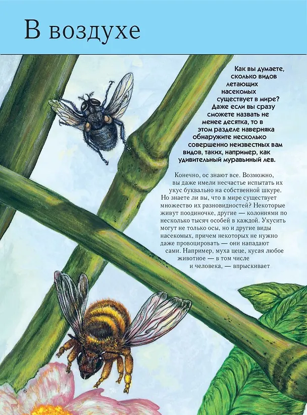 Книга Насекомые. Полная энциклопедия (мел.) (Тамара Грин) — 12