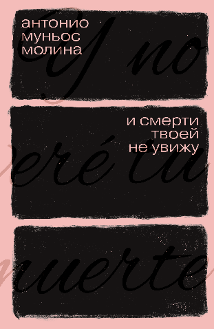 

И смерти твоей не увижу