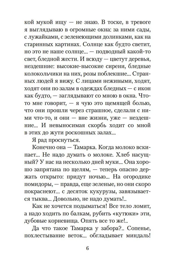 Книга Солнце мертвых (Иван Шмелев) — 9