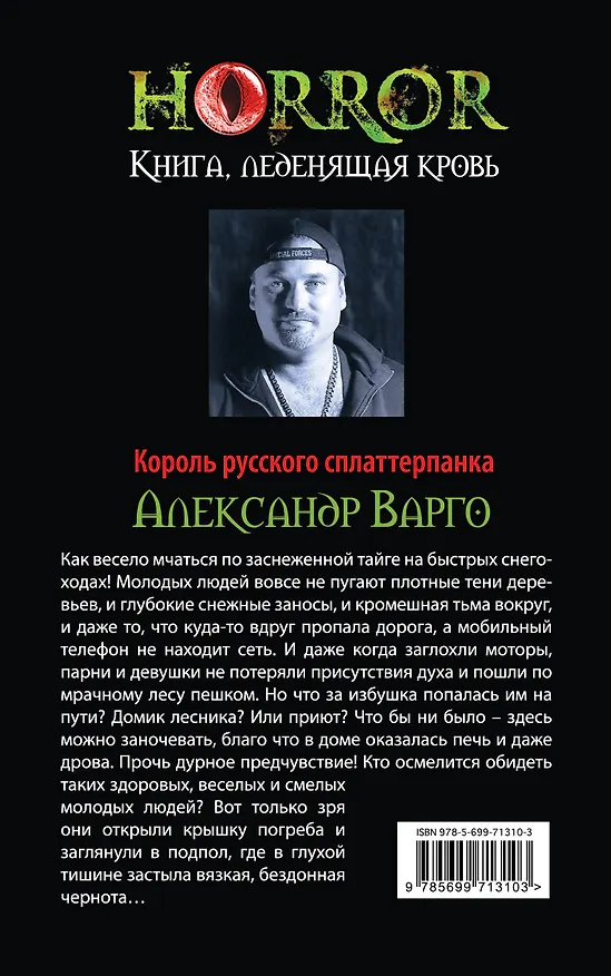 Книга Льдинка (Александр Варго) — 2