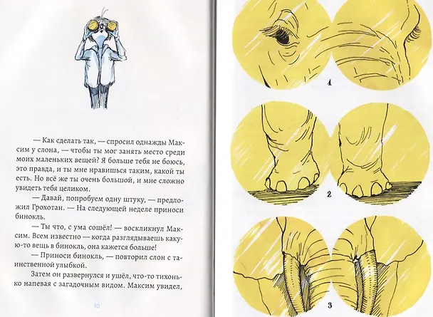 Книга Максим и маленькие вещи (Николя Дёло) — 5