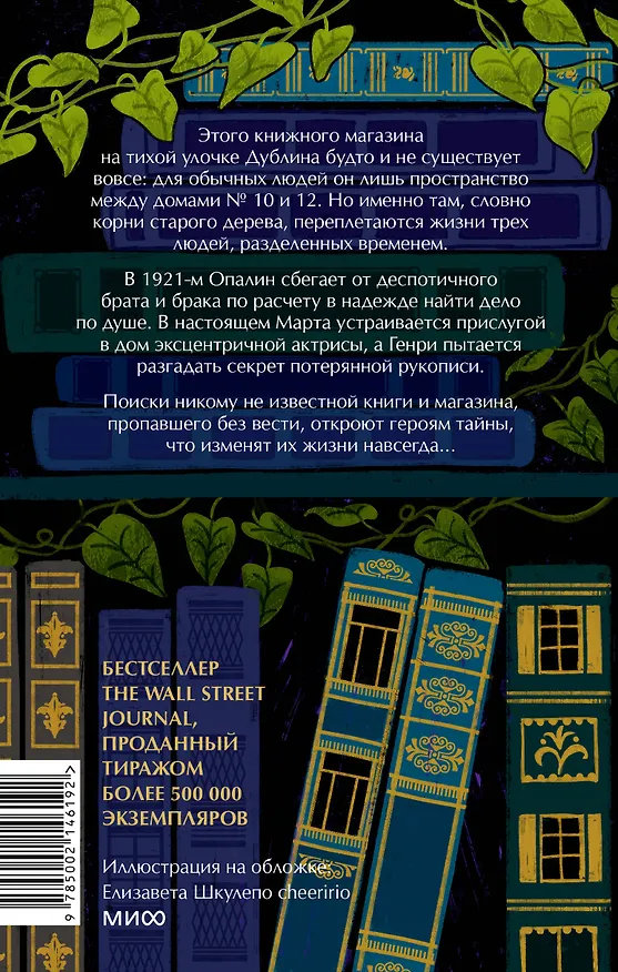 Книга Затерянный книжный (Иви Вудс) — 2