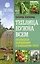Теплица нужна всем. Особенности выращивания в защищенном грунте — 2833261 — 1
