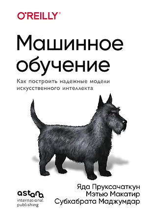 Книга Машинное обучение. Как построить надежные модели искусственного интеллекта (Яда Пруксачаткун, Мэтью Макатир, Субхабрата Маджумдар)