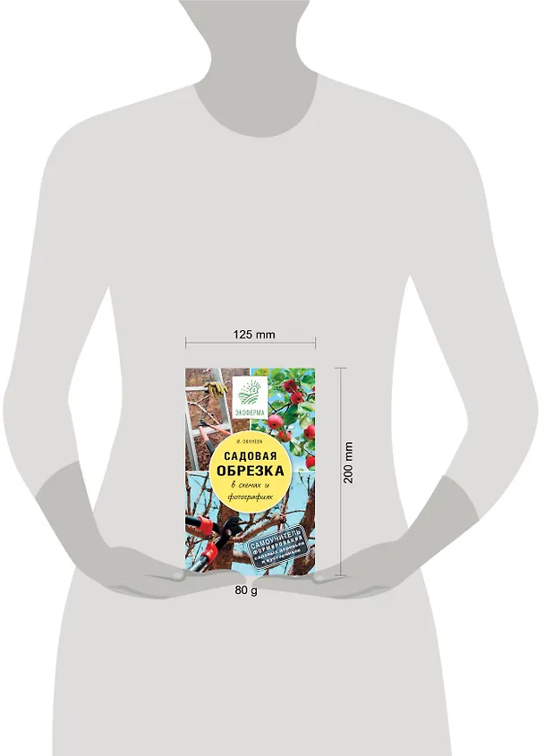 Книга Садовая обрезка в схемах и фотографиях (Ирина Окунева) — 4