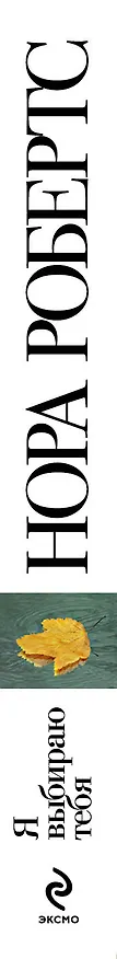 Книга Я выбираю тебя (Нора Робертс) — 3