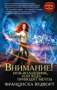 Внимание! Муж-волшебник, или Куда приводят мечты