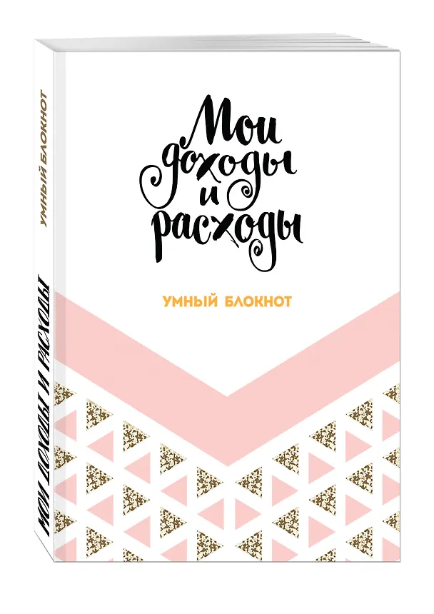 Записная книжка «CashBook: мои доходы и расходы. Dream», 176 страниц, А5 2576269 — 2