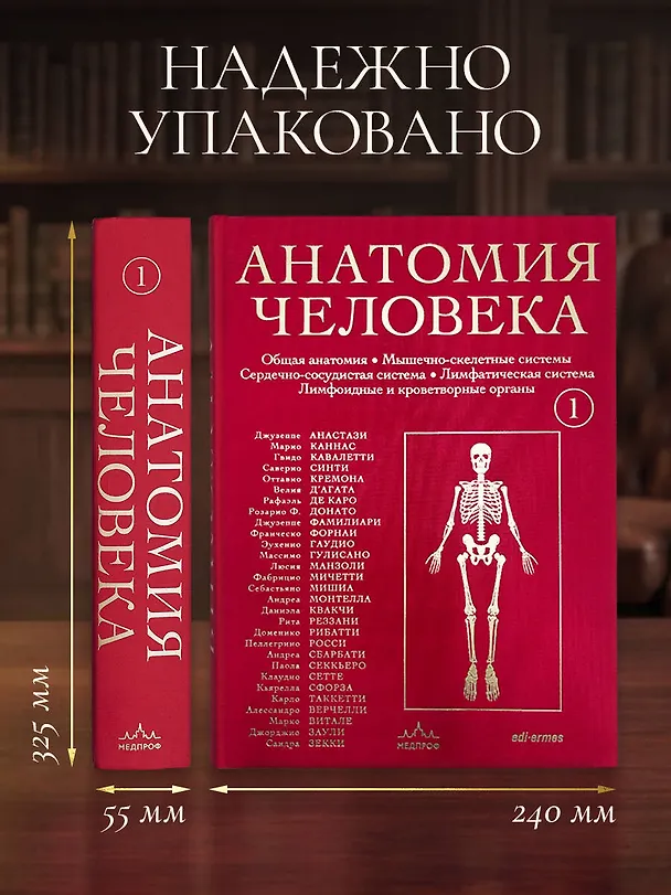 Книга Анатомия человека. Эксклюзивное издание с 50-летней историей. Том 1 (Джузеппе Анастази, Марио Каннас, Гвидо Кавалетти) — 16