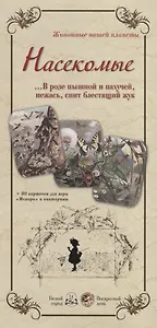 Насекомые. В розе пышной и пахучей, нежась, спит блестящий жук