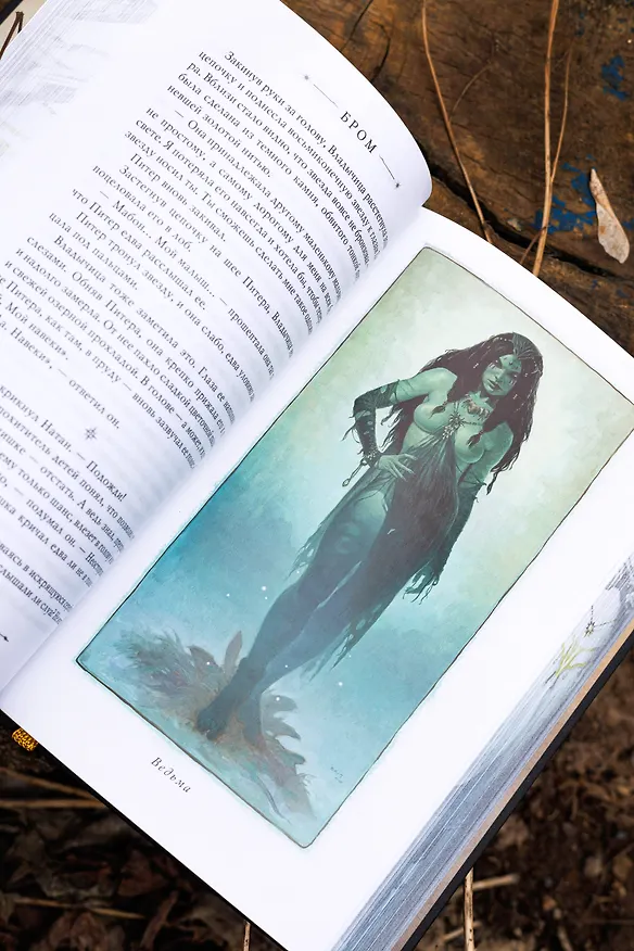 Книга Похититель детей (Джеральд Бром) — 13