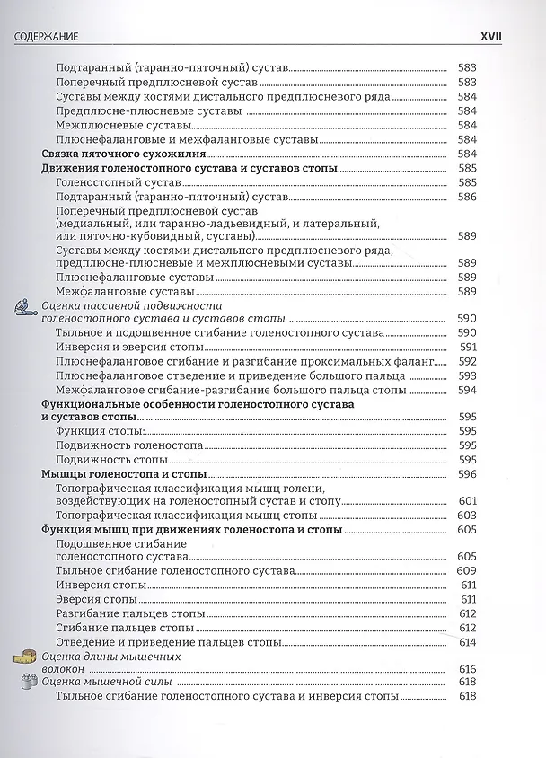 Книга Руководство по кинезиологии. Функциональная анатомия. Биомеханика. Оценка состояния суставов и мышц (Винченцо Пирола) — 6