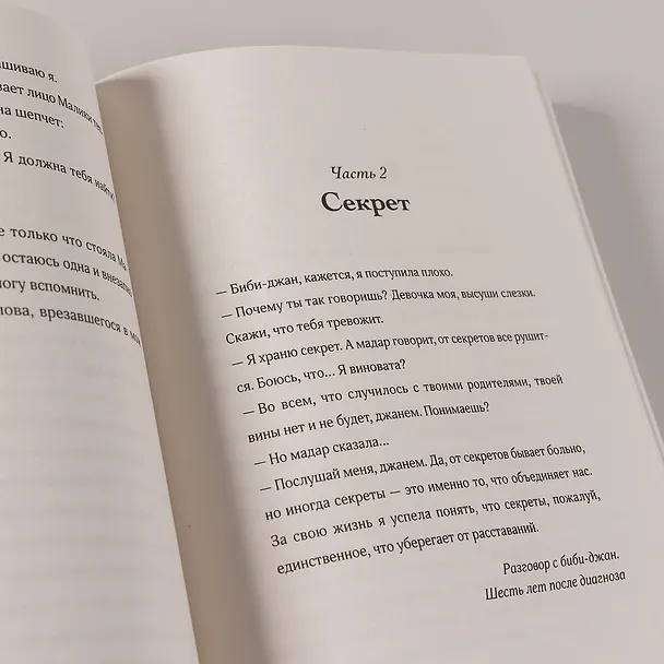 Книга Отражения нашего дома (Диба Заргарпур) — 6
