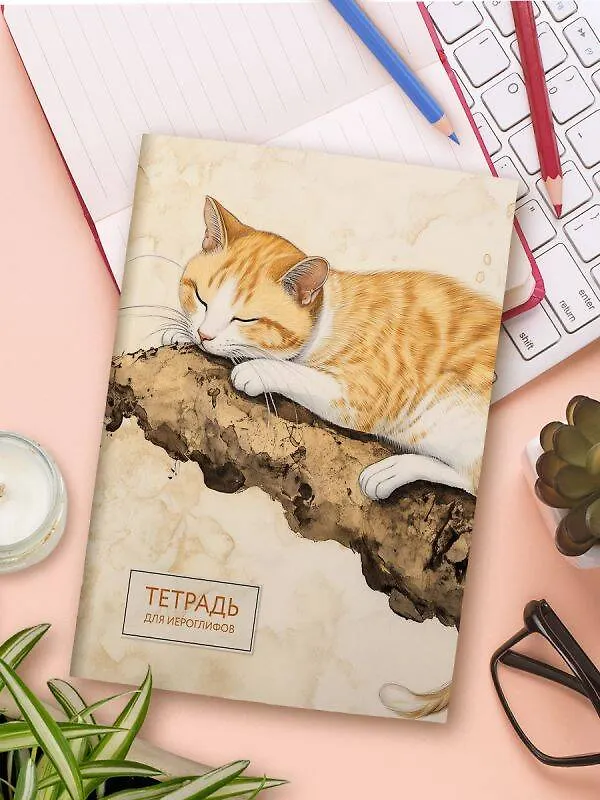Книга Тетрадь для иероглифов (рыжий котик) () — 9