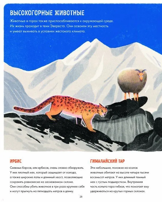 Книга Эверест (Лиск Фэнг, Сьюзан Фрэнсис, Сангма Фрэнсис) — 6