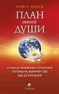 План твоей души: О смысле жизненных испытаний, которые мы выбираем себе еще до рождения — 2199542 — 1