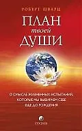 Книга План твоей души: О смысле жизненных испытаний, которые мы выбираем себе еще до рождения (Роберт Шварц) — 1