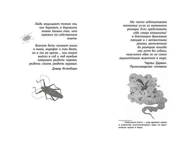 Книга Фабр. Битва жуков (Майя Леонард) — 5