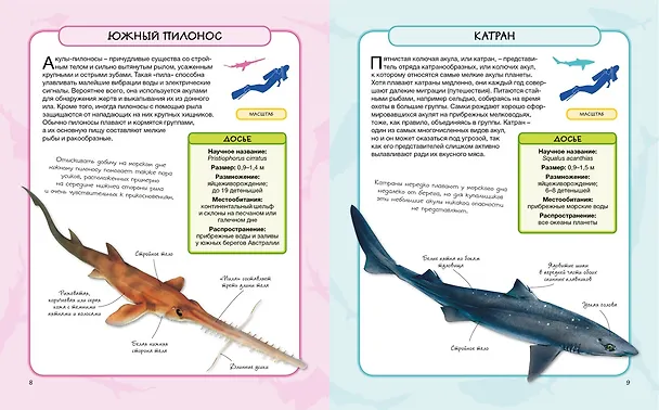 Книга Акулы и скаты (Камилла де ла Бедуайер) — 4