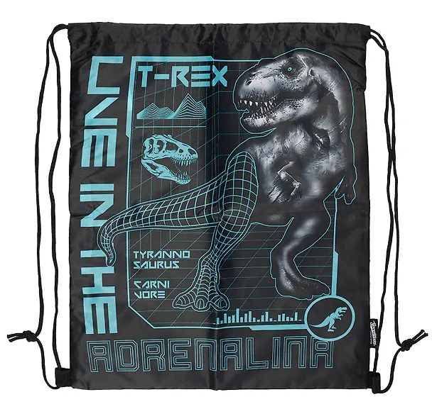 Мешок для сменной обуви "T-Rex" 48 х 38 см, 1 отделение 3024986 — 2