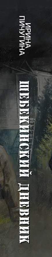 Книга Шебекинский дневник (Ирина Пичугина) — 4