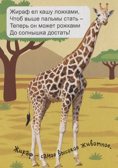 Книга Экзотические животные () — 4