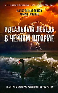 Идеальный лебедь в черном шторме. Практика саморазрушения государства