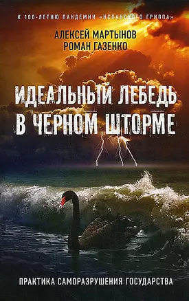 Идеальный лебедь в черном шторме. Практика саморазрушения государства — 2868095 — 1