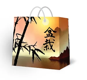 Пакет подарочный пластик А4 30*30*10 муж.тематика, ассорти PBM, МегаМАГ