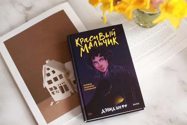 Книга Красивый мальчик (Дэвид Шефф) — 4