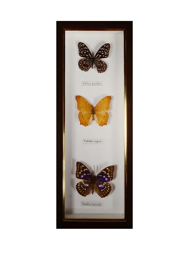 Панно Бабочки (2в.) (37х16) (7206011/3) 2541104 — 1