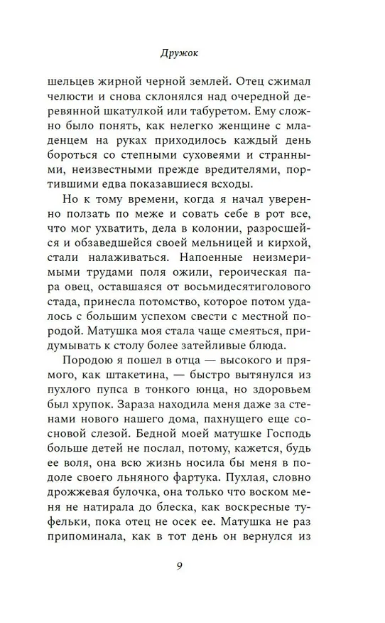 Книга Дружок (Елена Антипова) — 13