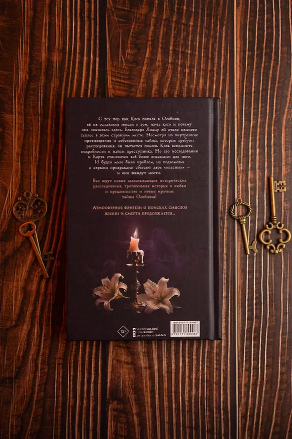 Книга Особняк. Клеа и месть призраков (Эвелин Бризу-Пеллен) — 13