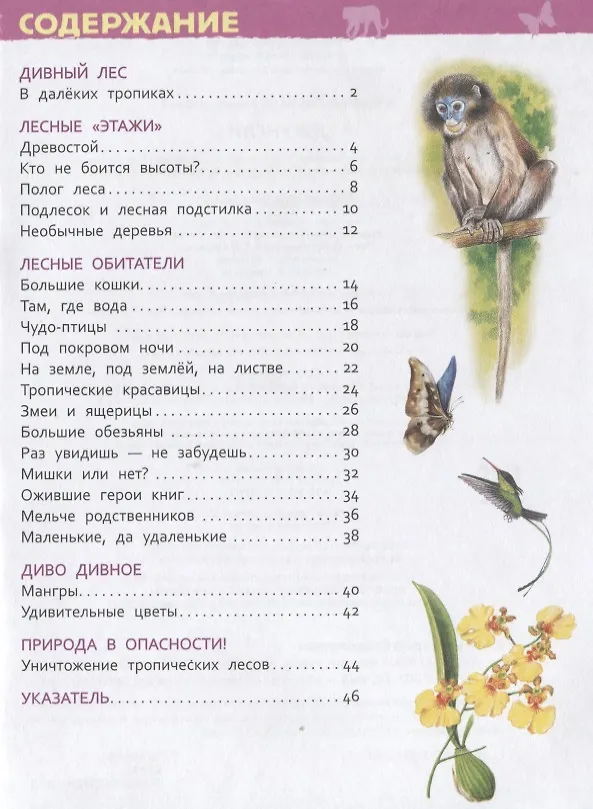 Книга Джунгли (Лариса Клюшник) — 2