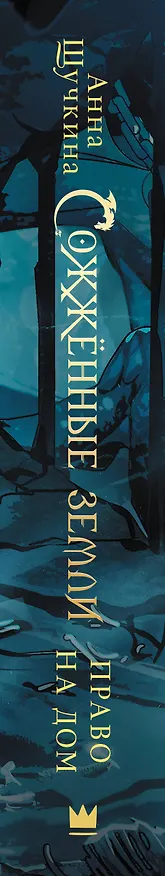 Книга Сожженные земли. Право на дом (Анна Щучкина) — 4