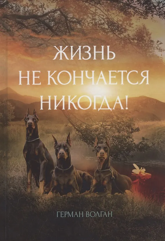 Книга Жизнь не кончается никогда! () — 1