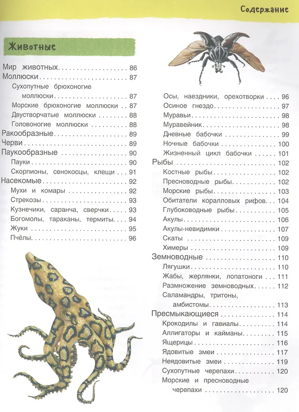 Книга Большая иллюстрированная энциклопедия. новая (Фрэн Бромаж) — 4