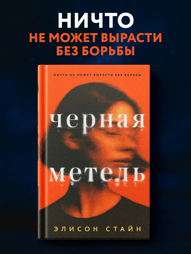 Книга Черная метель (Элисон Стайн) — 4