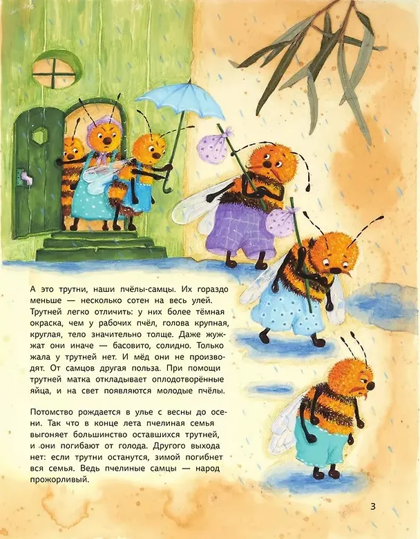 Книга Ж-ж-жизнь пчёл, рассказанная ими самими (Надежда Фещенко) — 5