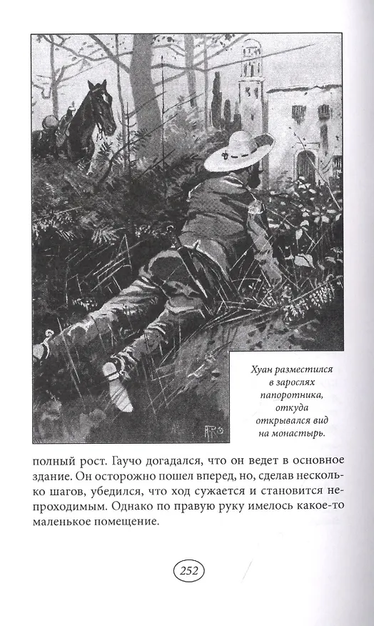 Книга Сын гаучо () — 11