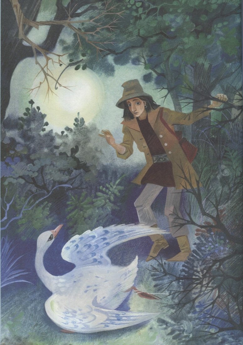 Изображение бумажной книги